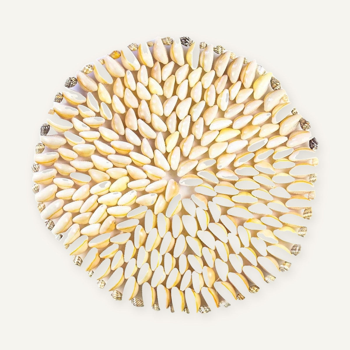 Set de table rond coquillage sur fond beige